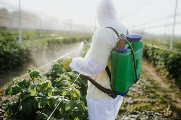 Pest Prevention Services in Truman, MN